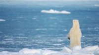 NASA：北极海冰面积在过去35年间减少了95%