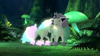 《宝可梦：剑/盾》生态直播结束 出现两匹发光小马
