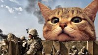 日本网友把喵星人P进军事图中 被进击的巨猫统治的世界