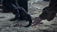 《巫师》剧新剧照曝光 神秘人和怪物“牵手”