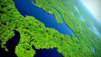 亚马逊雨林或在2021年达到临界点 地球之肺变碳弹