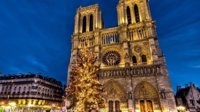 被烧毁的法国巴黎圣母院 中国将派人协助修复