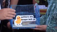 为消除手机瘾：印尼政府给中小学生发2000只小鸡