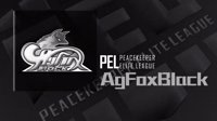 PEL和平精英职业联赛晋级赛战队——AgFoxBlack