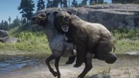 《荒野大镖客：救赎2》新MOD让狗熊也能骑马 马：我可太难了
