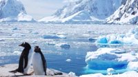 南极地区出现破纪录度高温天气；20度！