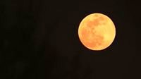 今夜将出现“超级月亮” 凌晨1点48分一起看美景
