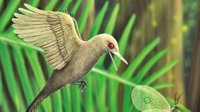 中美科学家发现迄今最小的恐龙：体型如蜂鸟却食肉