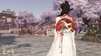 最宠玩家的逆水寒 为萌新们开了一组服务器