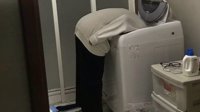 推特网友在洗衣机里打造夜店 里面超嗨外面却超沙雕