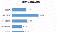 中国互联网络信息中心统计报告：全国6.5亿网民月收入不足5000元