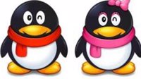 腾讯QQ企鹅是什么品种？官方首次回应