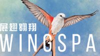 鸟类策略卡牌《展翅翱翔（Wingspan）》今夏发售 休闲可爱寓教于乐