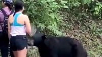 女子户外遭黑熊背后熊抱：干脆拿手机与熊合了个影