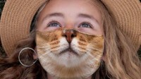 国外网友制作的猫咪口罩 带上瞬间感觉被治愈了