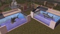 《明日之后》住进泳池是怎样的体验 鲨鱼：谢邀