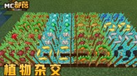 在《我的世界》的第二生活 感受岁月静好