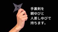世嘉推出“忍者手里剑训练机” 经日本忍者协会公认