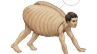 日本变态插画师把乌龟画成人 网友：整个人都不好了