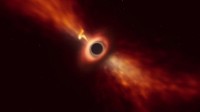 质量和太阳相当的恒星 被黑洞拉成了细长的“面条”
