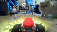 玩家用《马车》AR游戏逗猫 喵星人：家里来了怪物