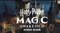 《哈利波特：魔法觉醒》玩法视频分享！