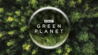 B站与BBC联合出品：自然历史类巨制《绿色星球》