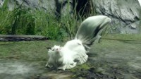 《MHR》猎具生物烟雪鼬展示 释放费洛蒙引诱怪物