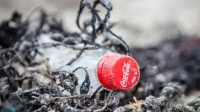 可口可乐被评最大塑料污染者 百事雀巢紧随其后