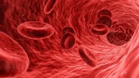 人体每秒制造380万个细胞 大多数都是血细胞
