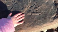 英国4岁女童发现恐龙脚印 距今已有2.15亿年