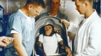 60多年前被人类送进太空的黑猩猩 最后怎么样了？