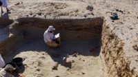 古埃发现猫狗集体坟墓 可能是世界上最早的宠物墓地