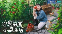 《小森生活》3月31日带你开启田园治愈新生活