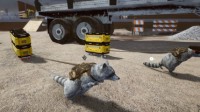 这款模拟游戏Steam开启EA 当浣熊拯救动物建家园