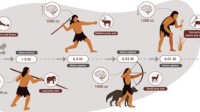 人类曾做过200万年的顶级掠食者 之后开始发展农业