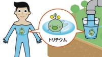 坚持了一天就收手 日本宣布下架放射性氚“吉祥物”