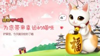 模拟经营养猫手游《猫猫咖啡屋》正式上线！