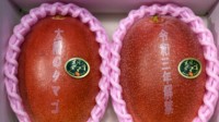 两颗芒果卖出1.2万元 日媒：这是“王者”