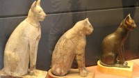 古埃及人对猫十分迷恋 甚至制作猫木乃伊