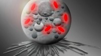 科学家发现一种新型细菌 很像精灵球中的宝可梦