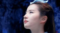 17岁28岁33岁的刘亦菲 摄影师加鸡腿的动态图