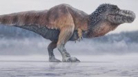 北极发现7种恐龙幼崽化石 距今已有7000万年