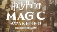《哈利波特：魔法觉醒》魁地奇贝拉卡组分享
