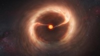 宇宙星团可能“黑洞扎推”一个星团拥有100多个黑洞