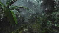 网友自制《孤岛惊魂》风格虚幻引擎5演示 雨林光效以假乱真