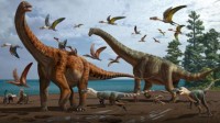 新疆发现两恐龙新属新种化石：丝路巨龙和哈密巨龙