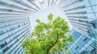 梦幻联动！索尼和微软将共同发起联合创新实验室