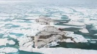 科学家意外发现地球最北小岛 但随时可能消失