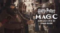 《哈利波特：魔法觉醒》免下载预先捏脸领魔杖